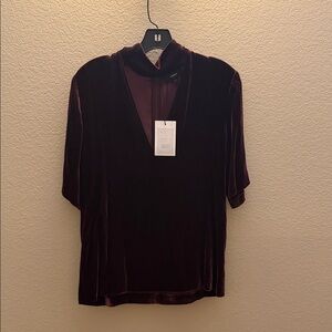 Theory Burgundy Velvet V-Neck Blouse